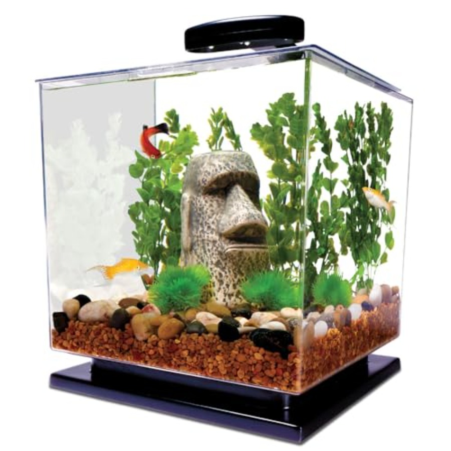 Aquarium Goldfish - 3 Gallon Fish Tank Aquarium Starter