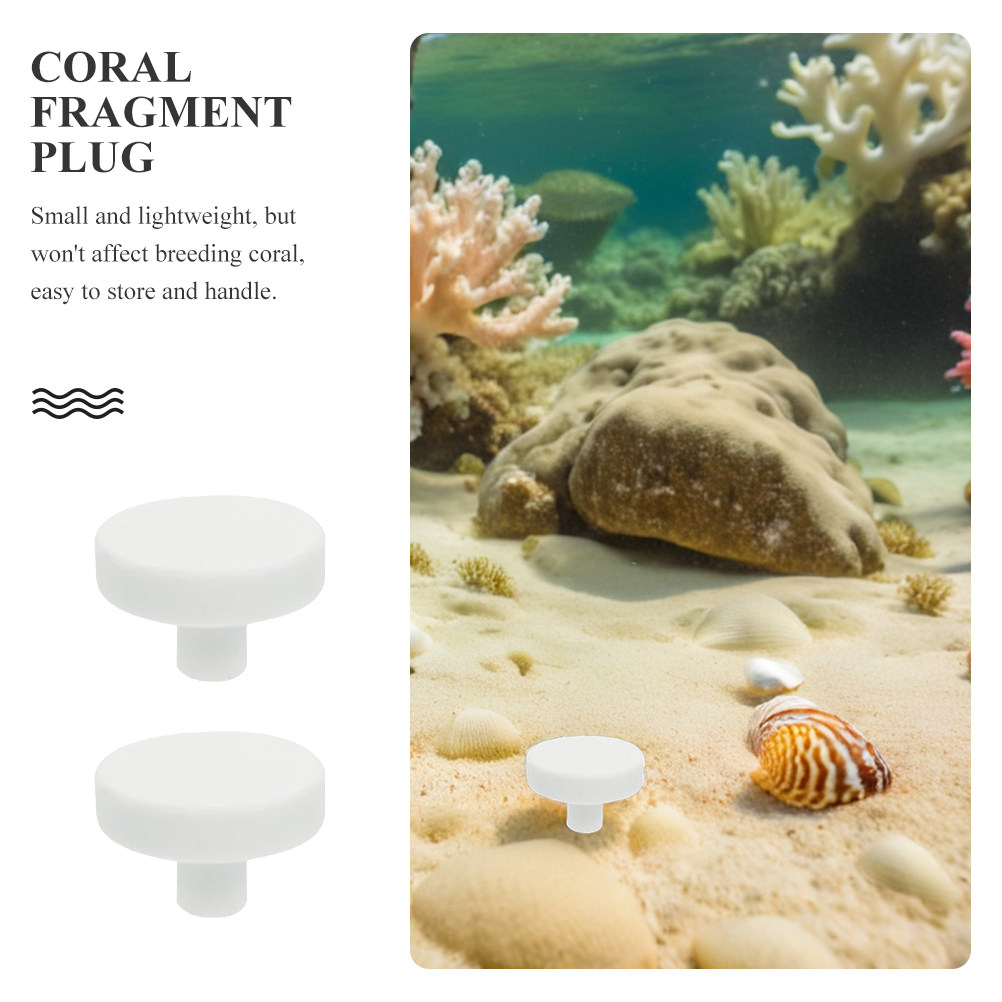 Aquarium Fish Reproduction - 20Pcs Fish Tank Coral Base T