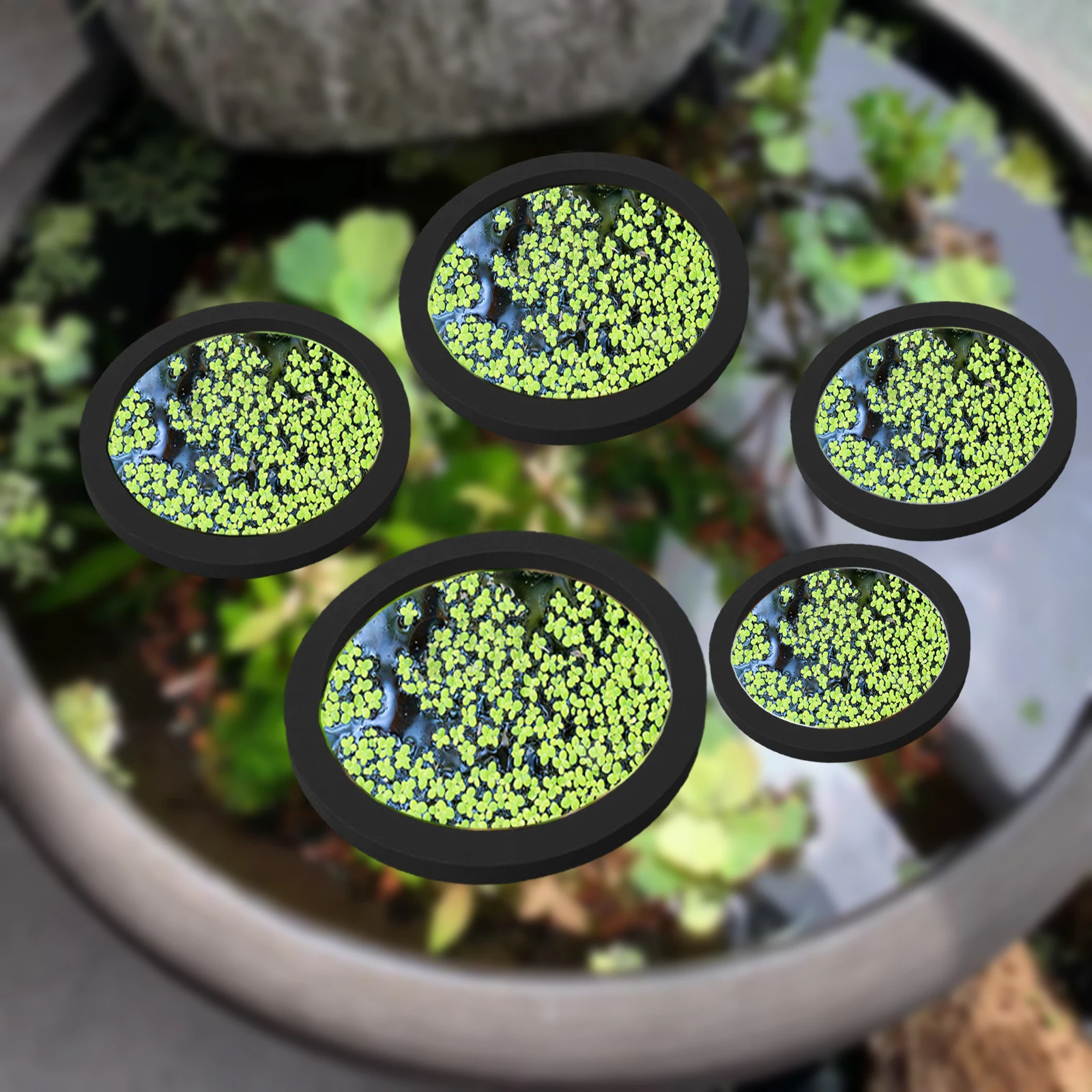 Aquarium Fishing - 5Pcs EVA Fish Feeding Ring Aquarium