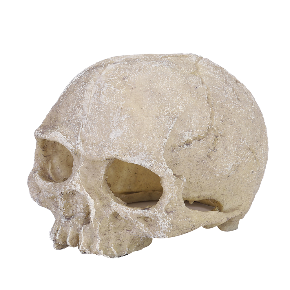 Aquarium Fish Cave - Resin Simulated Head Bone Skull Statue