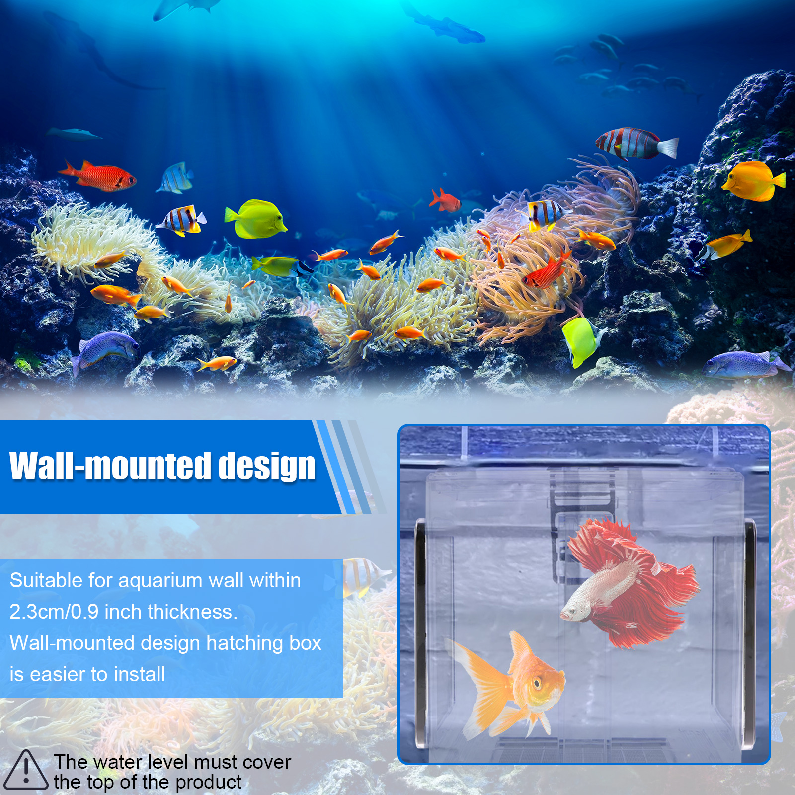 Aquarium Breeder Box Fish Bree - Aquarium Goldfish ulasan dan harga
