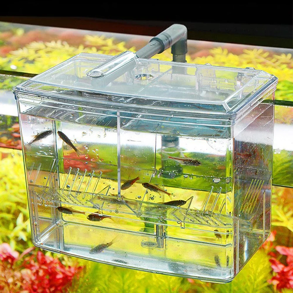 Aquarium Fish Breeding Box for - Aquarium Fish Cave ulasan dan harga