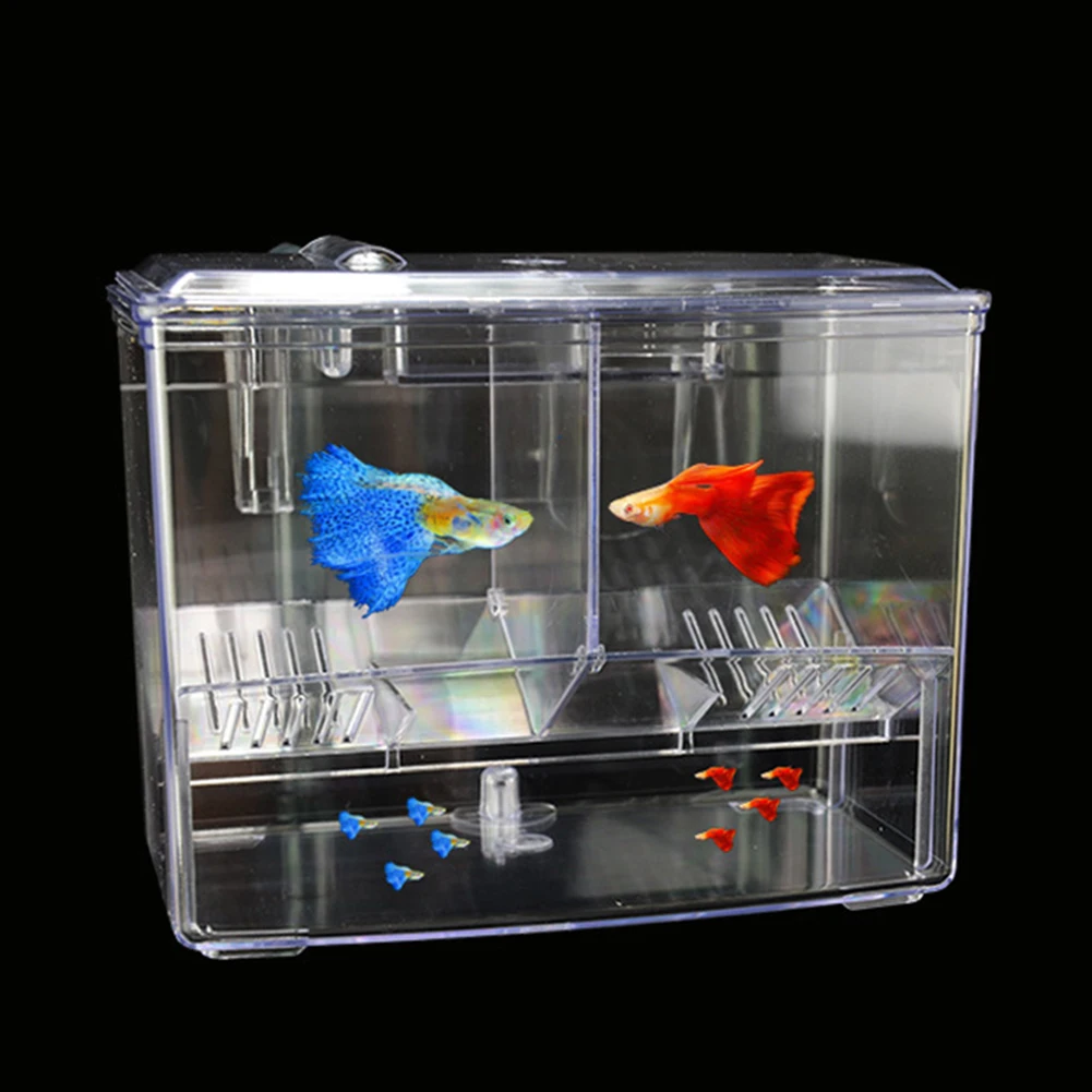 Aquarium Fish Breeding Box for - Aquarium Fish Cave ulasan dan harga