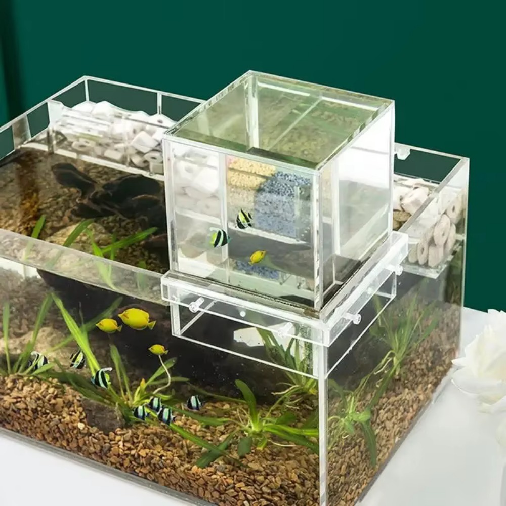 Landscaping Negative Pressure  - Aquarium Goldfish ulasan dan harga