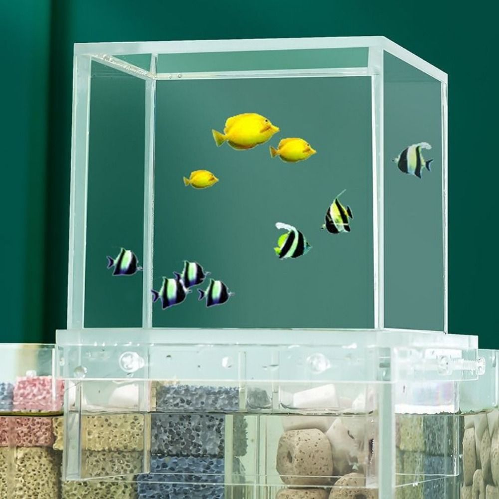 Landscaping Negative Pressure  - Aquarium Goldfish ulasan dan harga