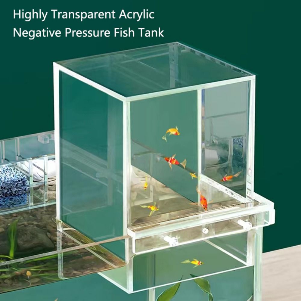 Landscaping Negative Pressure  - Aquarium Goldfish ulasan dan harga
