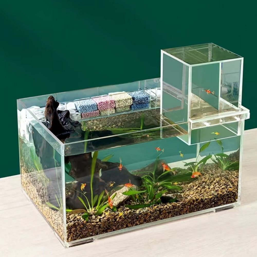 Landscaping Negative Pressure  - Aquarium Goldfish ulasan dan harga