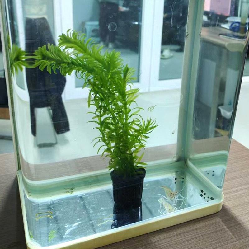 4Pcs Pet Fish Tank Landscaping - Aquarium Fish Usa ulasan dan harga