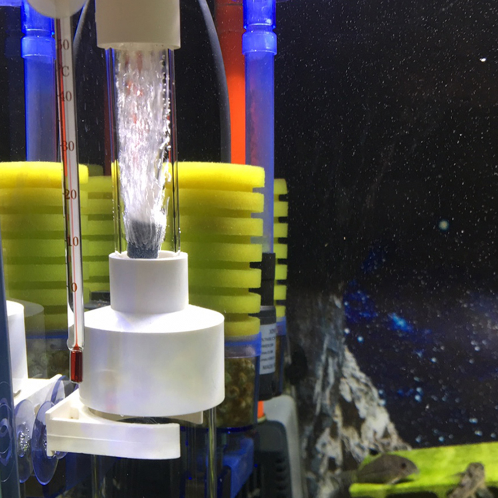 40mm Tumbler Incubator Fish Ha - Aquarium Fish Eggs ulasan dan harga