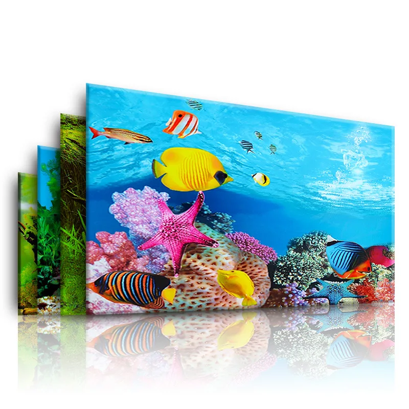 Background for Aquarium 3d  St - Aquarium Fish Enrichment ulasan dan harga