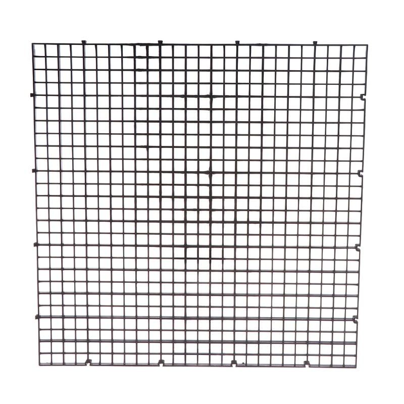 Fish for Tank Divider Plastic  - Aquarium Fish Eggs ulasan dan harga