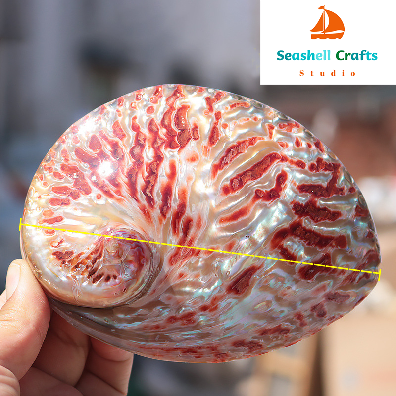 Home Decoration Red Pattern Ab - Aquarium Fish Enrichment ulasan dan harga