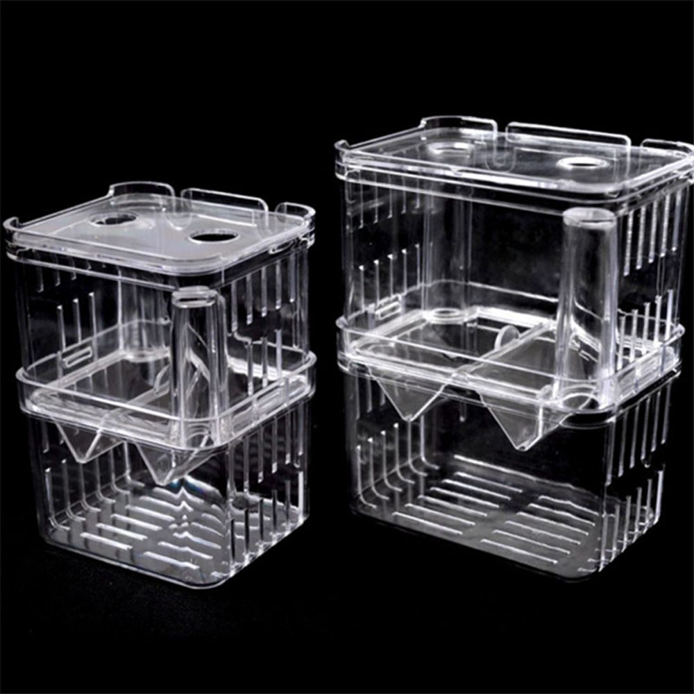 Tank For Baby Fishes Guppy Aqu - Aquarium Fish Reproduction ulasan dan harga