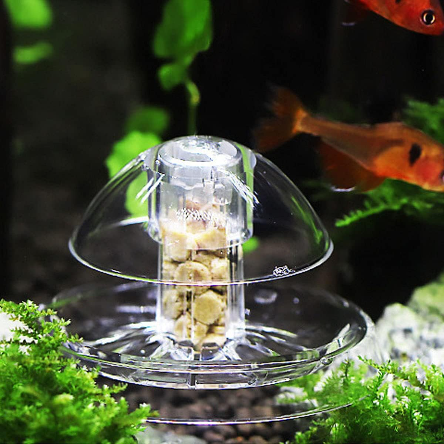 Ailindany Snail Trap Plastic T - Aquarium Fish Online ulasan dan harga