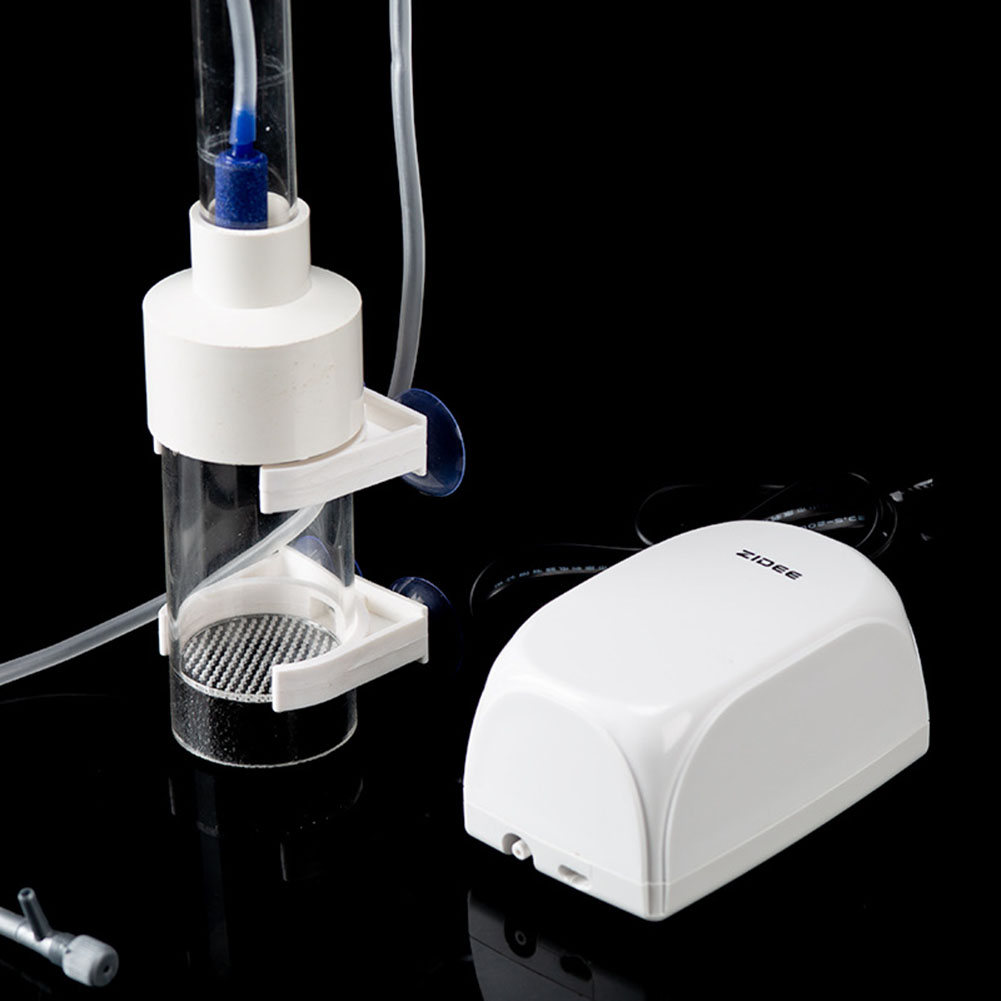 40mm Incubator Fish Hatchery E - Aquarium Fish Eggs ulasan dan harga