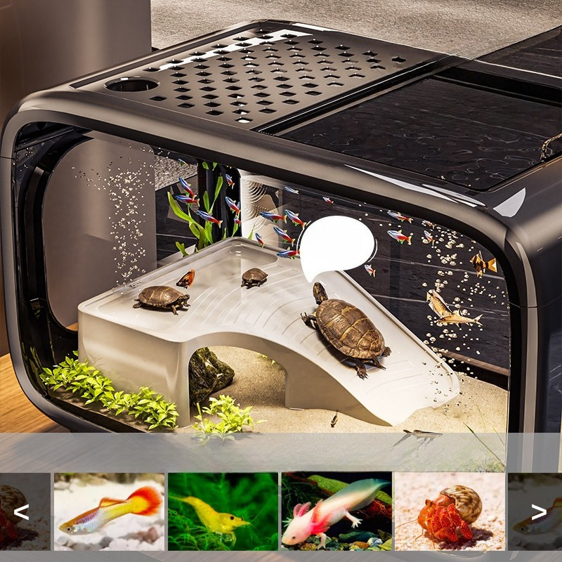 Luxury Covered Desktop Fish Ta - Aquarium Goldfish ulasan dan harga