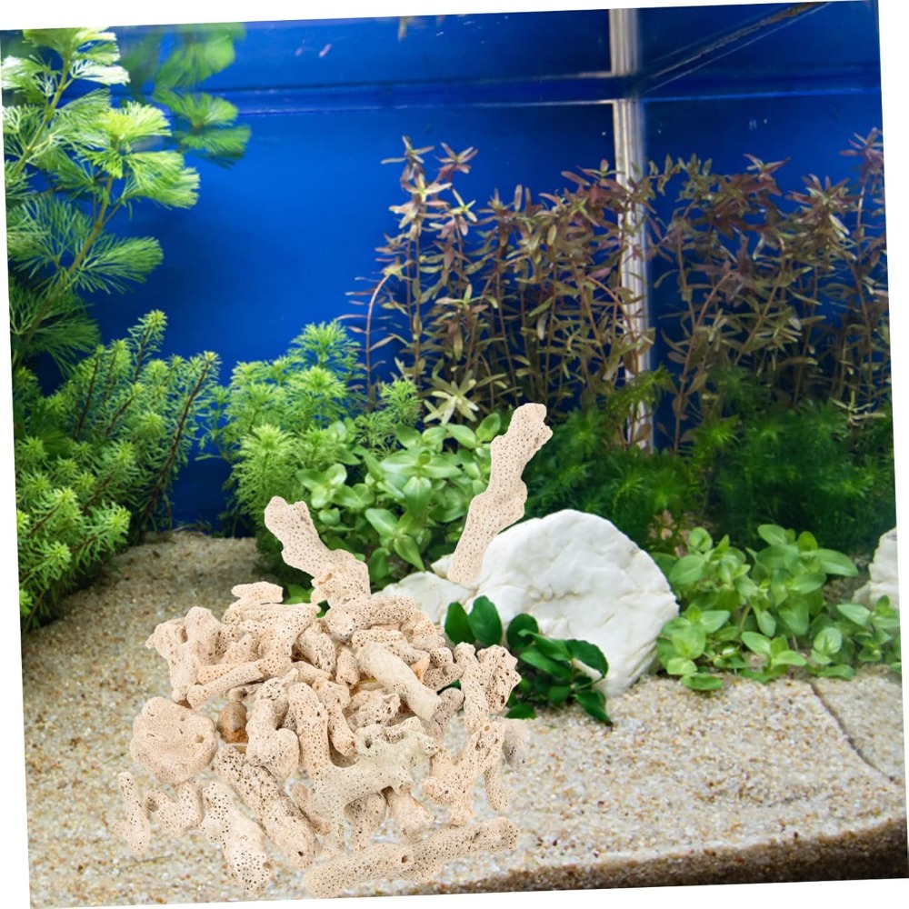 Crushed Coral Filter for Fresh - Aquarium Fish Usa ulasan dan harga