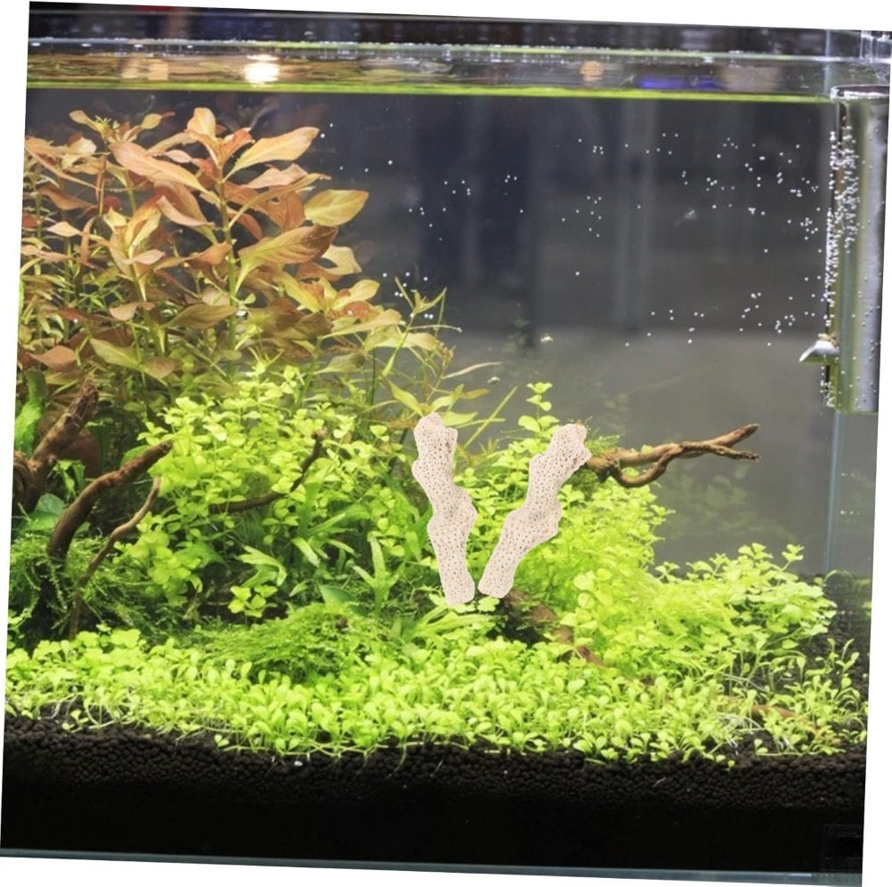 Crushed Coral Filter for Fresh - Aquarium Fish Usa ulasan dan harga