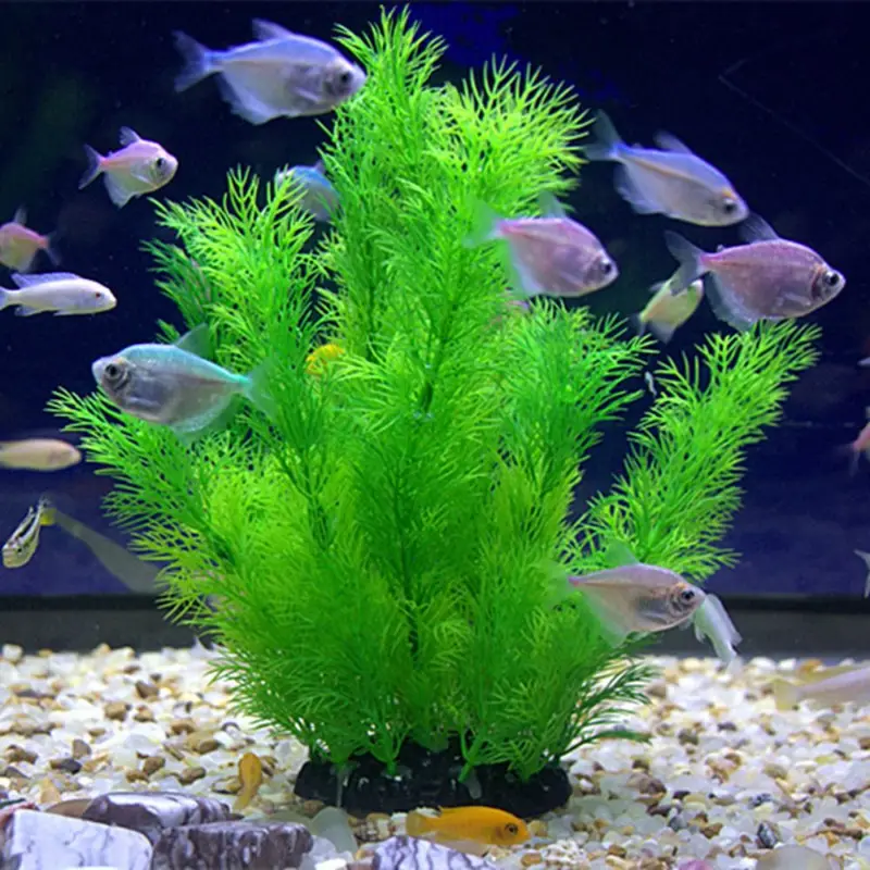 Artificial Aquarium Decor Plan - Aquarium Fish Enrichment ulasan dan harga