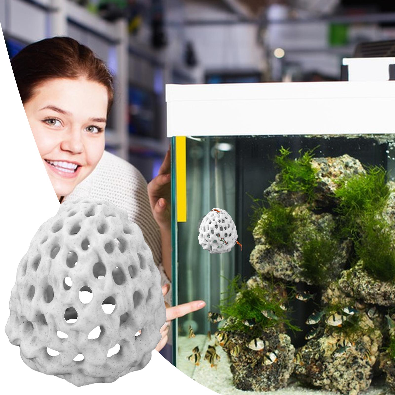 Small Aquarium shrimp house Ca - Aquarium Fish Cave ulasan dan harga