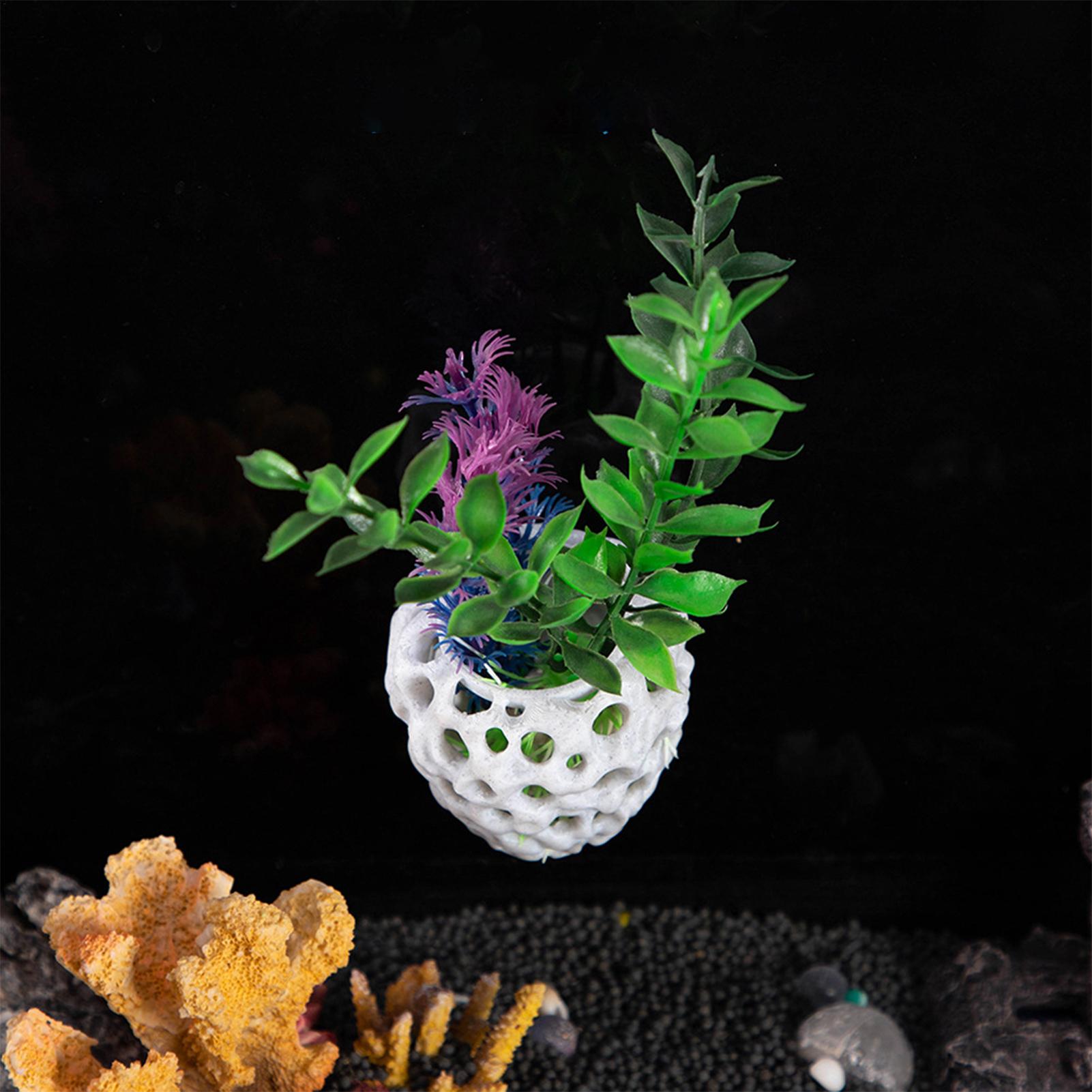 Small Aquarium shrimp house Ca - Aquarium Fish Cave ulasan dan harga