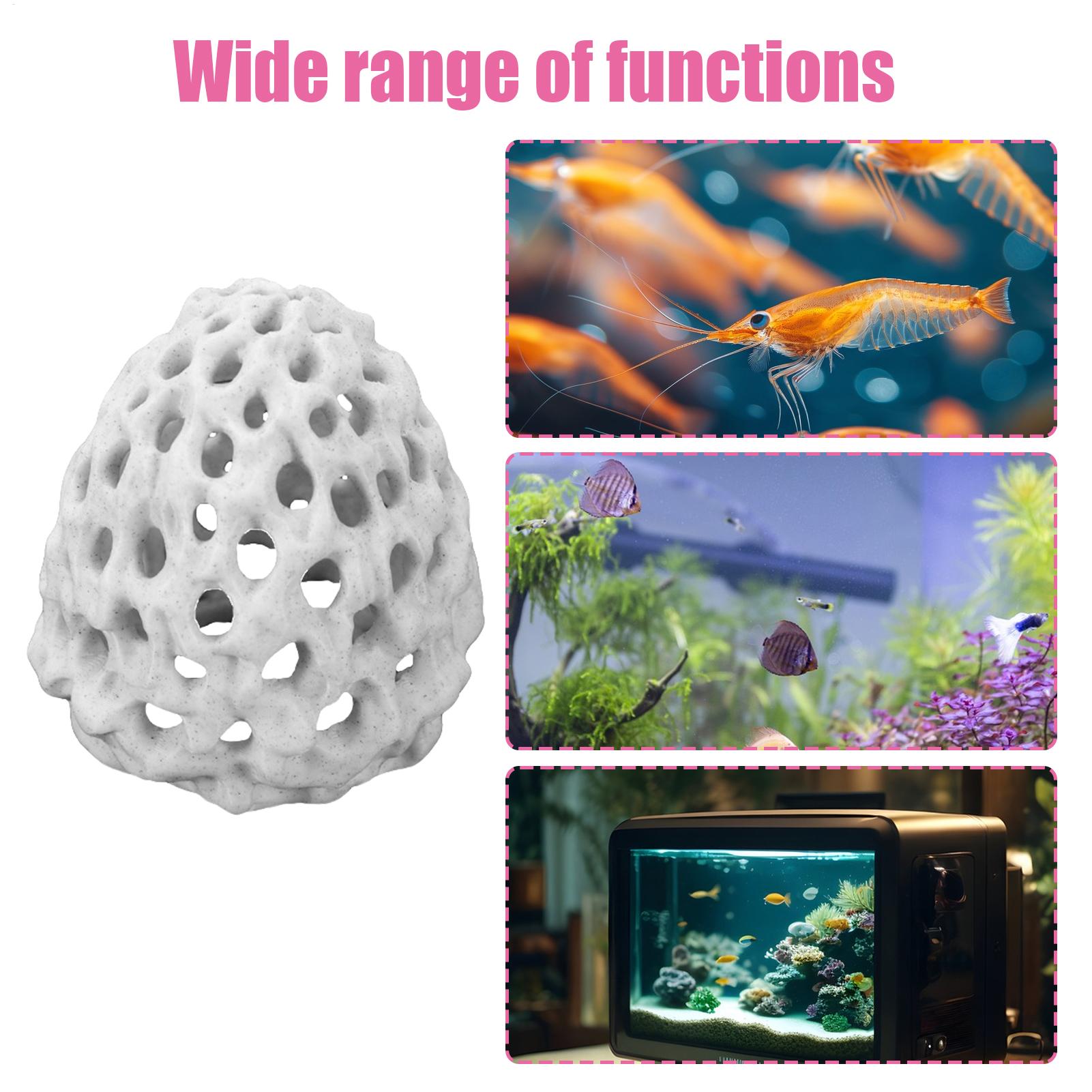 Small Aquarium shrimp house Ca - Aquarium Fish Cave ulasan dan harga