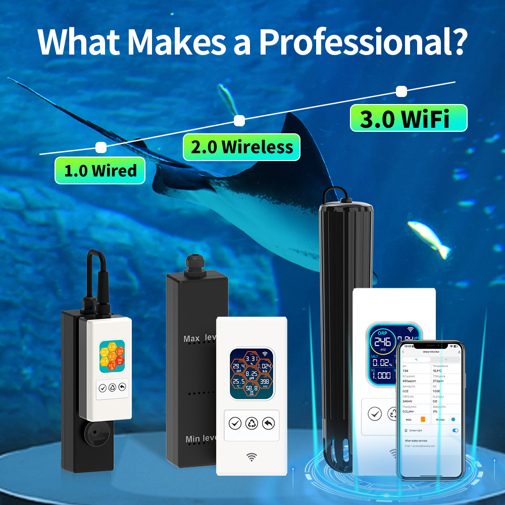 7 in 1 Online Koi Pond & Aquar - Aquarium Fish Online ulasan dan harga