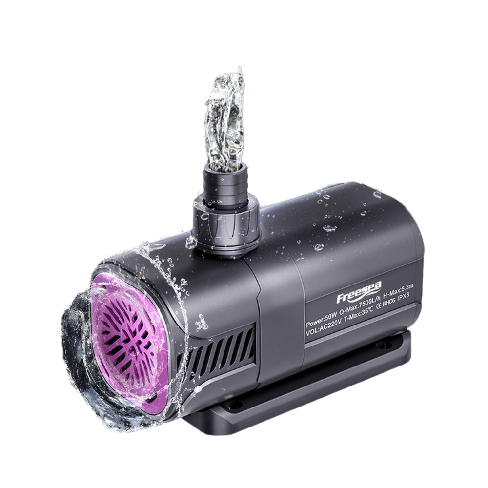Custom Freesea High Quality 20 - Aquarium Fish High Price ulasan dan harga
