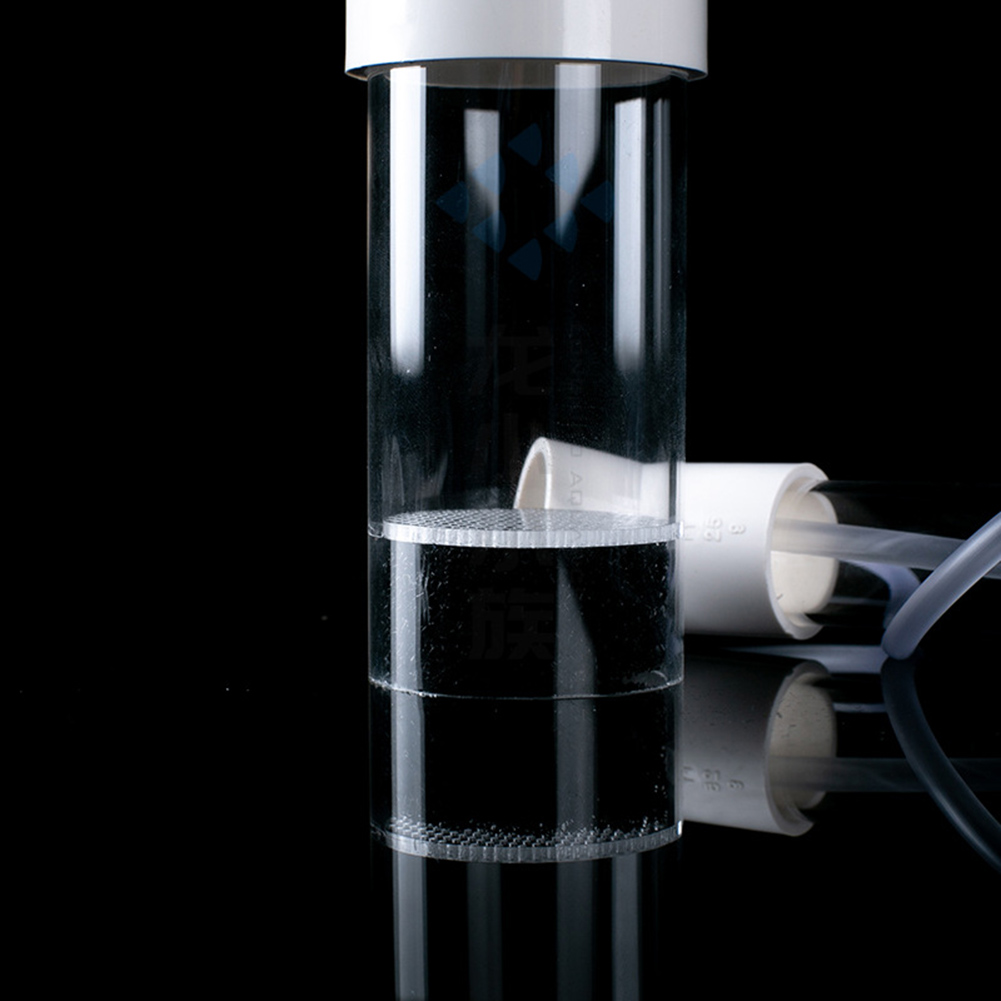 40mm Aquarium Cichlid Tumbler  - Aquarium Fish Eggs ulasan dan harga