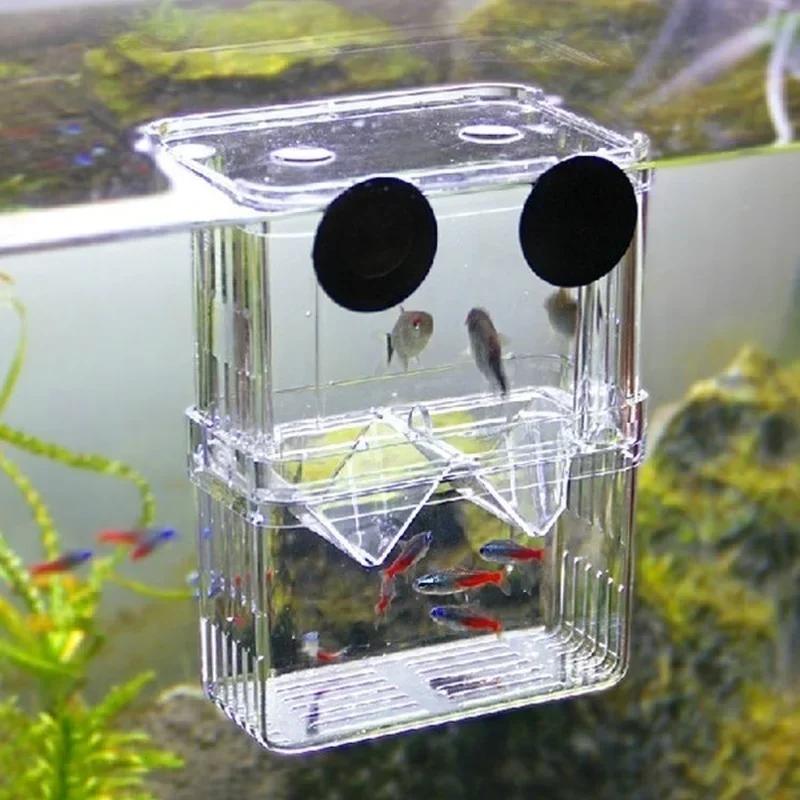 Transparent Fish Aquarium High - Aquarium Goldfish ulasan dan harga