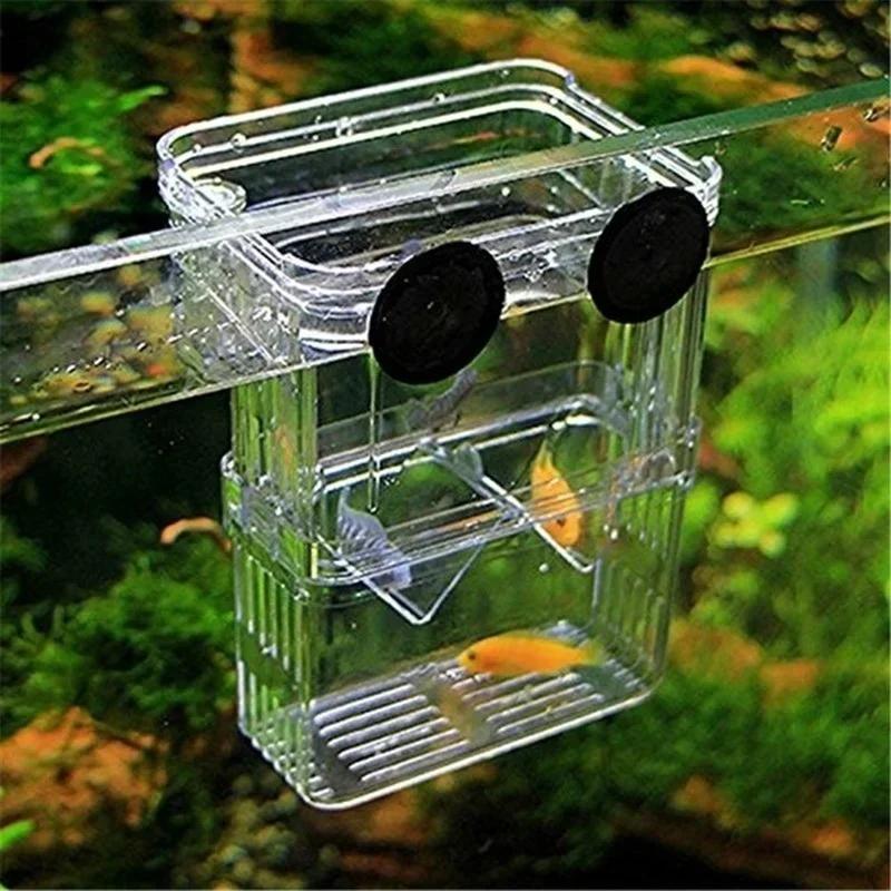 Transparent Fish Aquarium High - Aquarium Goldfish ulasan dan harga