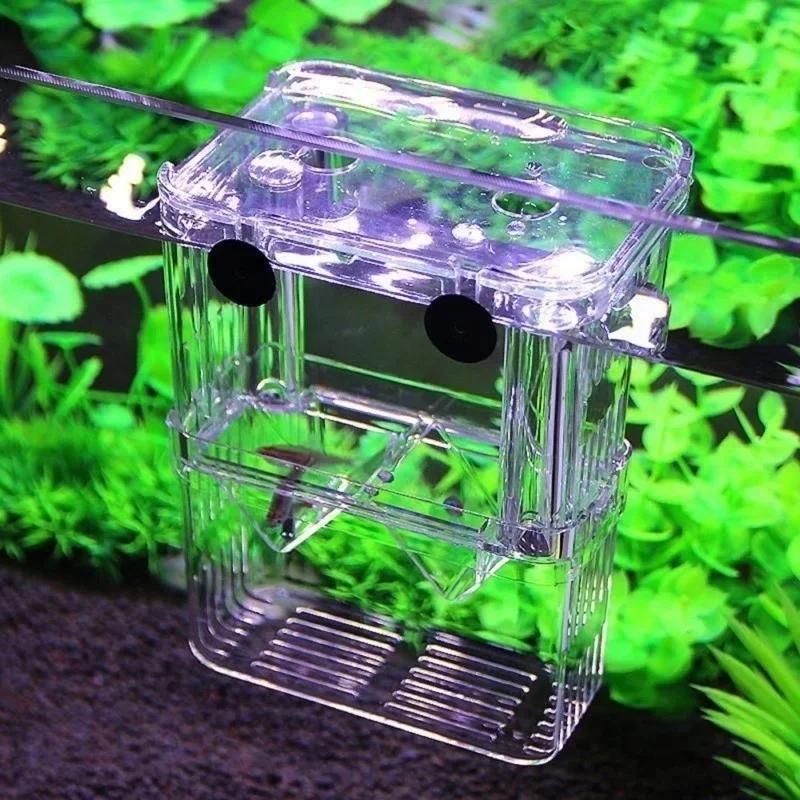 Transparent Fish Aquarium High - Aquarium Goldfish ulasan dan harga