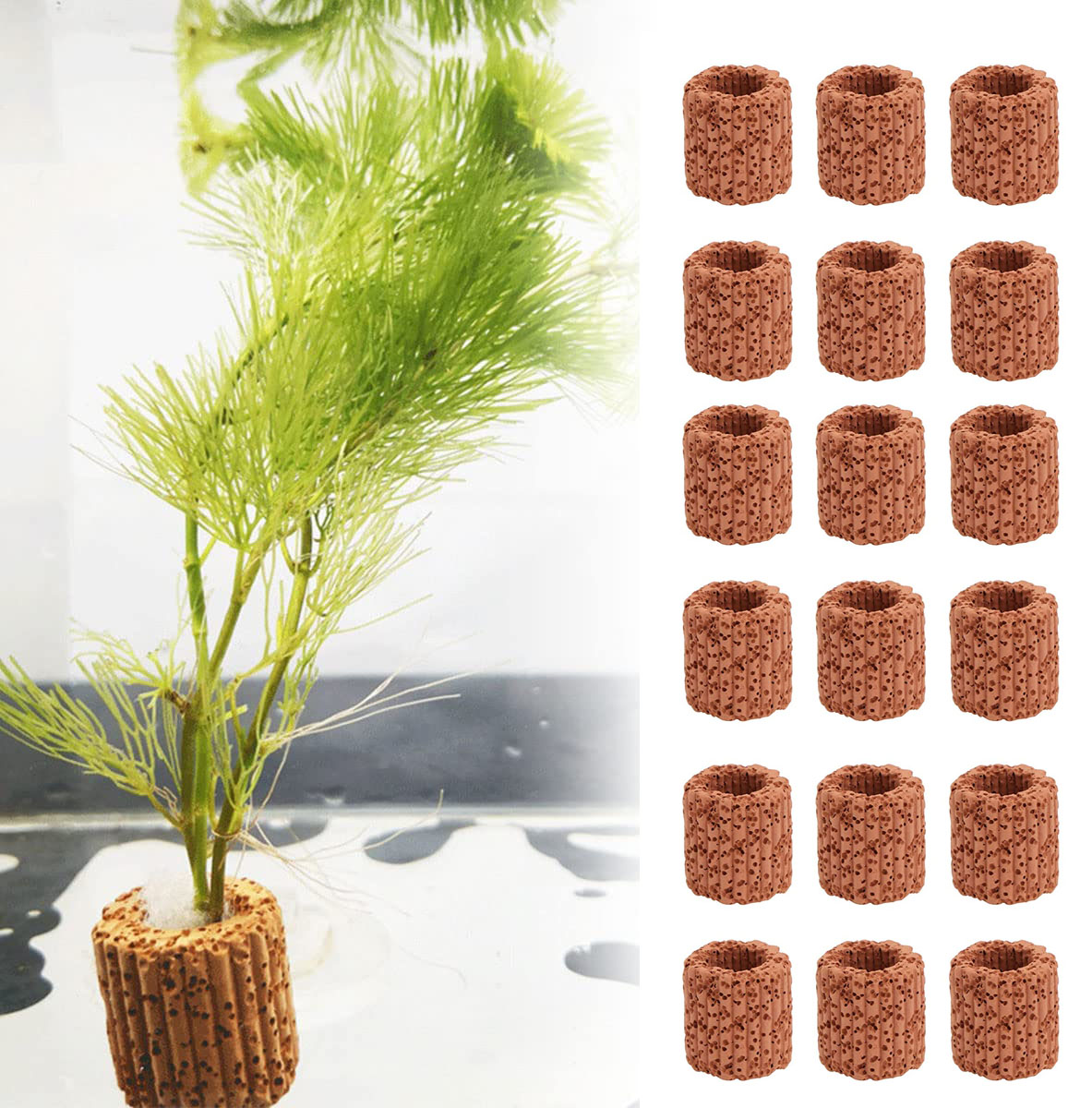 10/20Pcs Aquatic Water Plant F - Aquarium Fish Enrichment ulasan dan harga