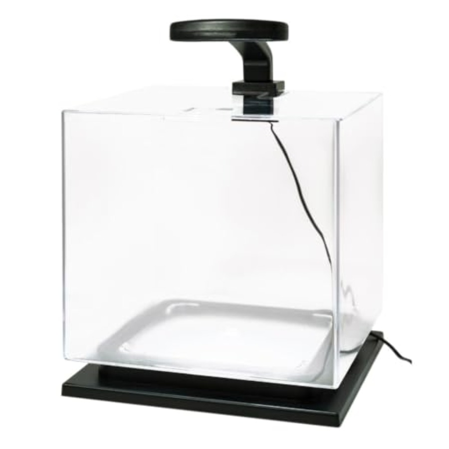 3 Gallon Fish Tank Aquarium St - Aquarium Goldfish ulasan dan harga