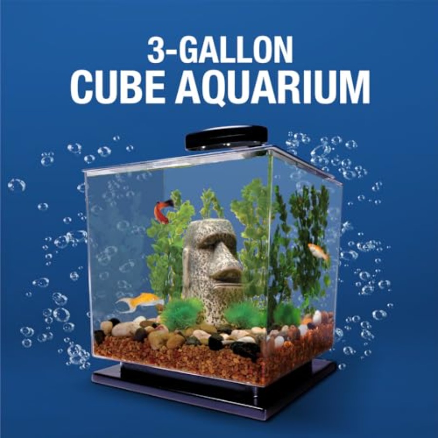 3 Gallon Fish Tank Aquarium St - Aquarium Goldfish ulasan dan harga