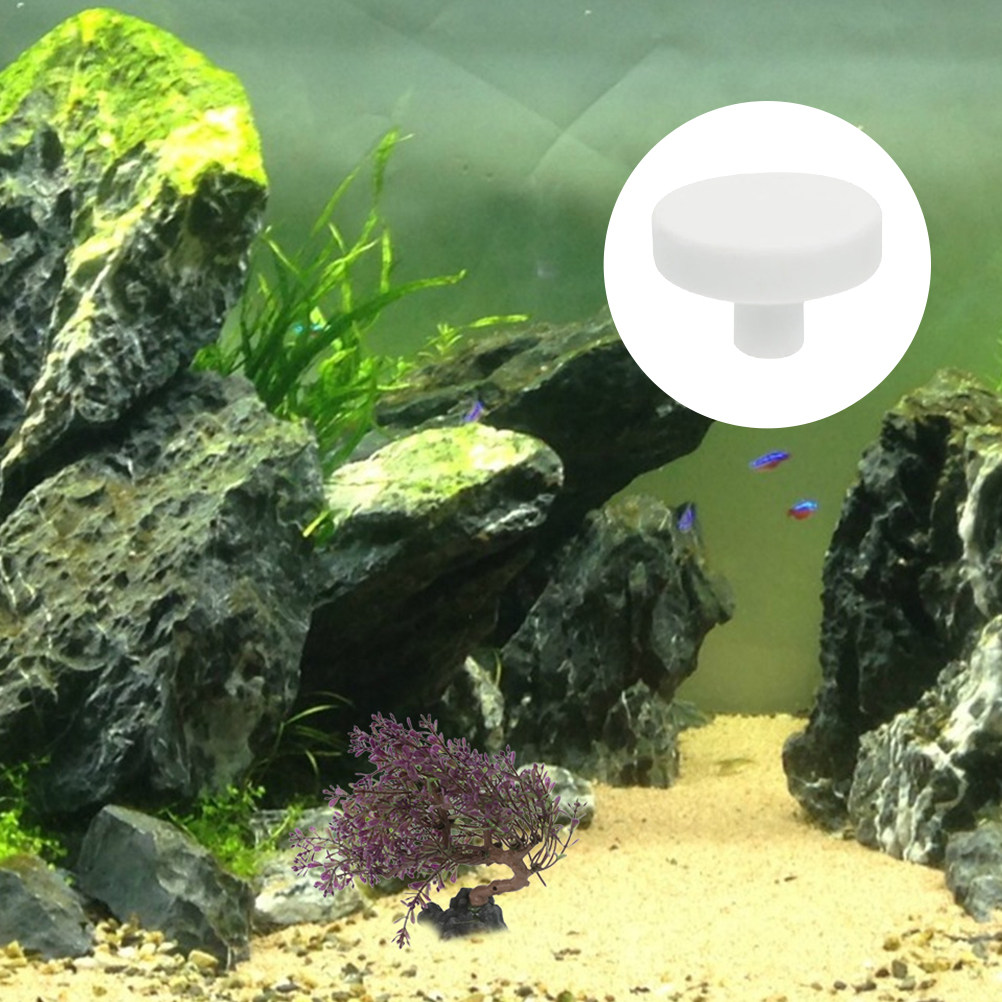 20Pcs Fish Tank Coral Base T S - Aquarium Fish Reproduction ulasan dan harga