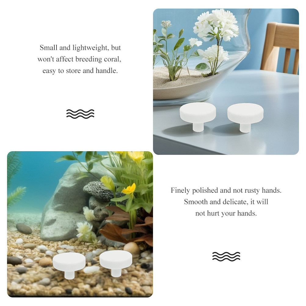 20Pcs Fish Tank Coral Base T S - Aquarium Fish Reproduction ulasan dan harga