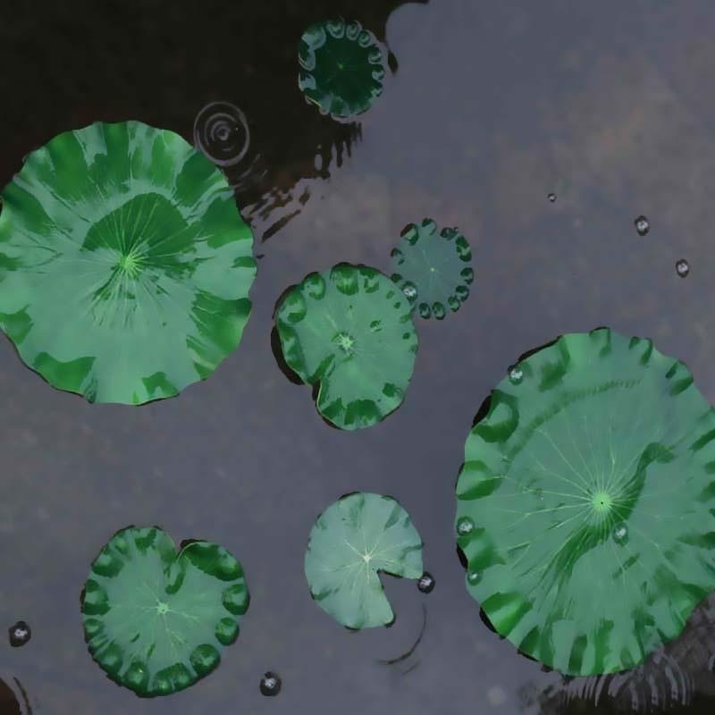 2026 Artificial Water Lily Lot - Aquarium Fishing ulasan dan harga