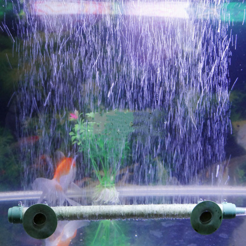 Blue/Green Fish Tank Aquarium  - Aquarium Fish Without Oxygen ulasan dan harga