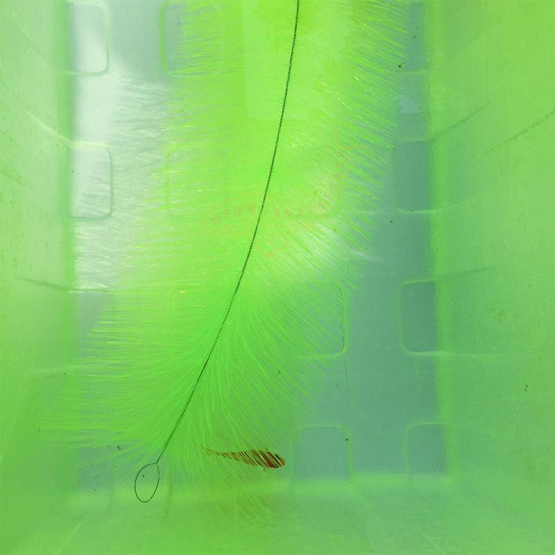 Breeding Grass for Koi Fish Eg - Aquarium Goldfish ulasan dan harga