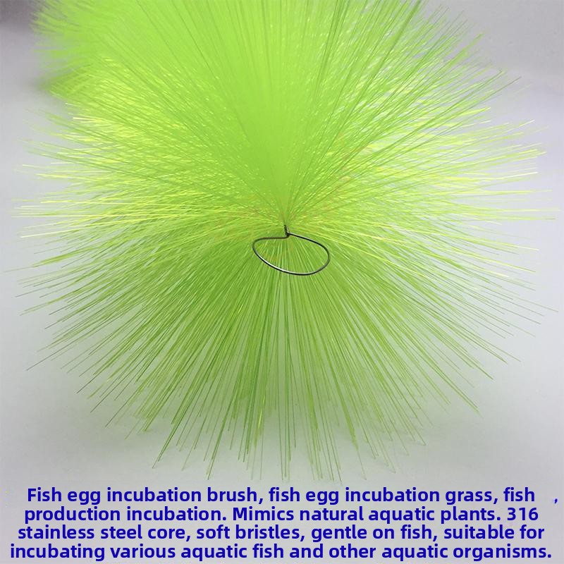 Breeding Grass for Koi Fish Eg - Aquarium Goldfish ulasan dan harga
