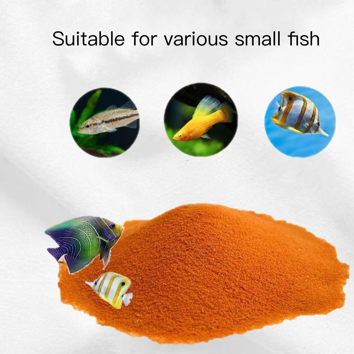 Premium Decapsulated Brine Shr - Aquarium Fish Eggs ulasan dan harga