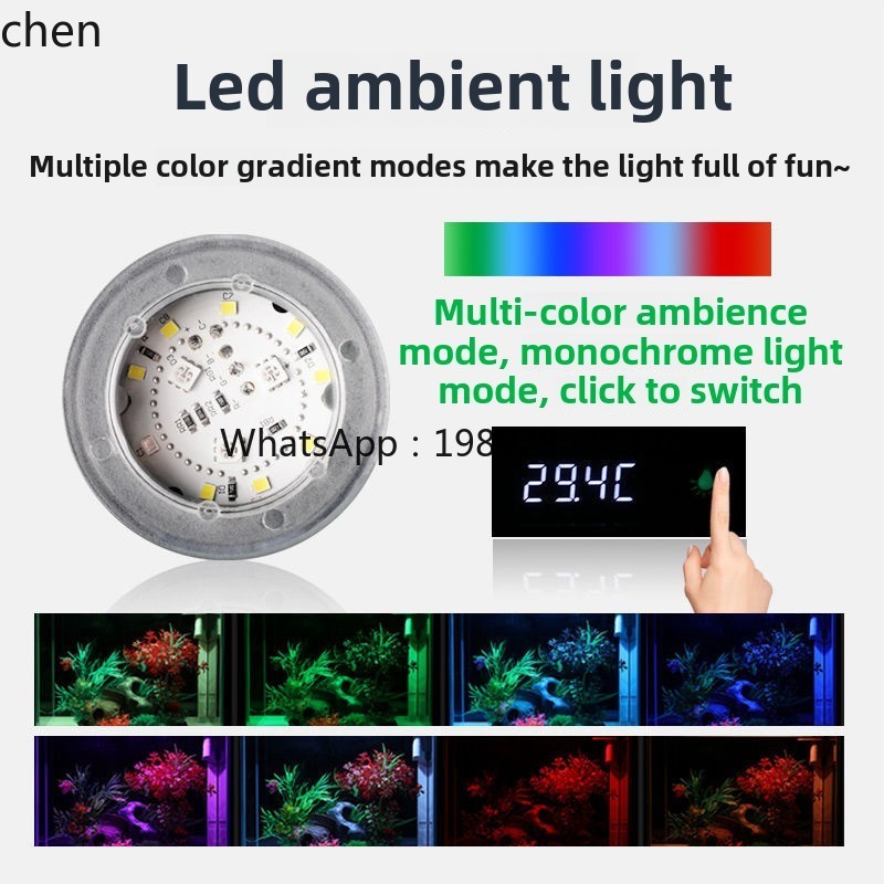 YGG  ultra-white glass small f - Aquarium Fish Without Oxygen ulasan dan harga