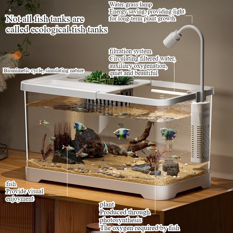 Fish tank household aquarium l - Aquarium Goldfish ulasan dan harga
