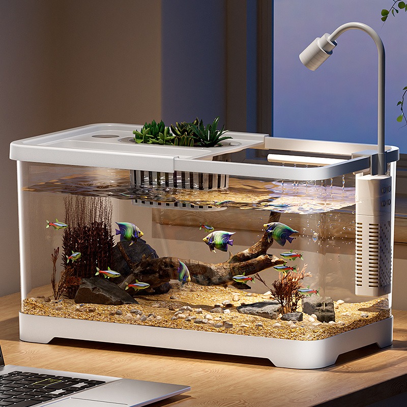 Fish tank household aquarium l - Aquarium Goldfish ulasan dan harga