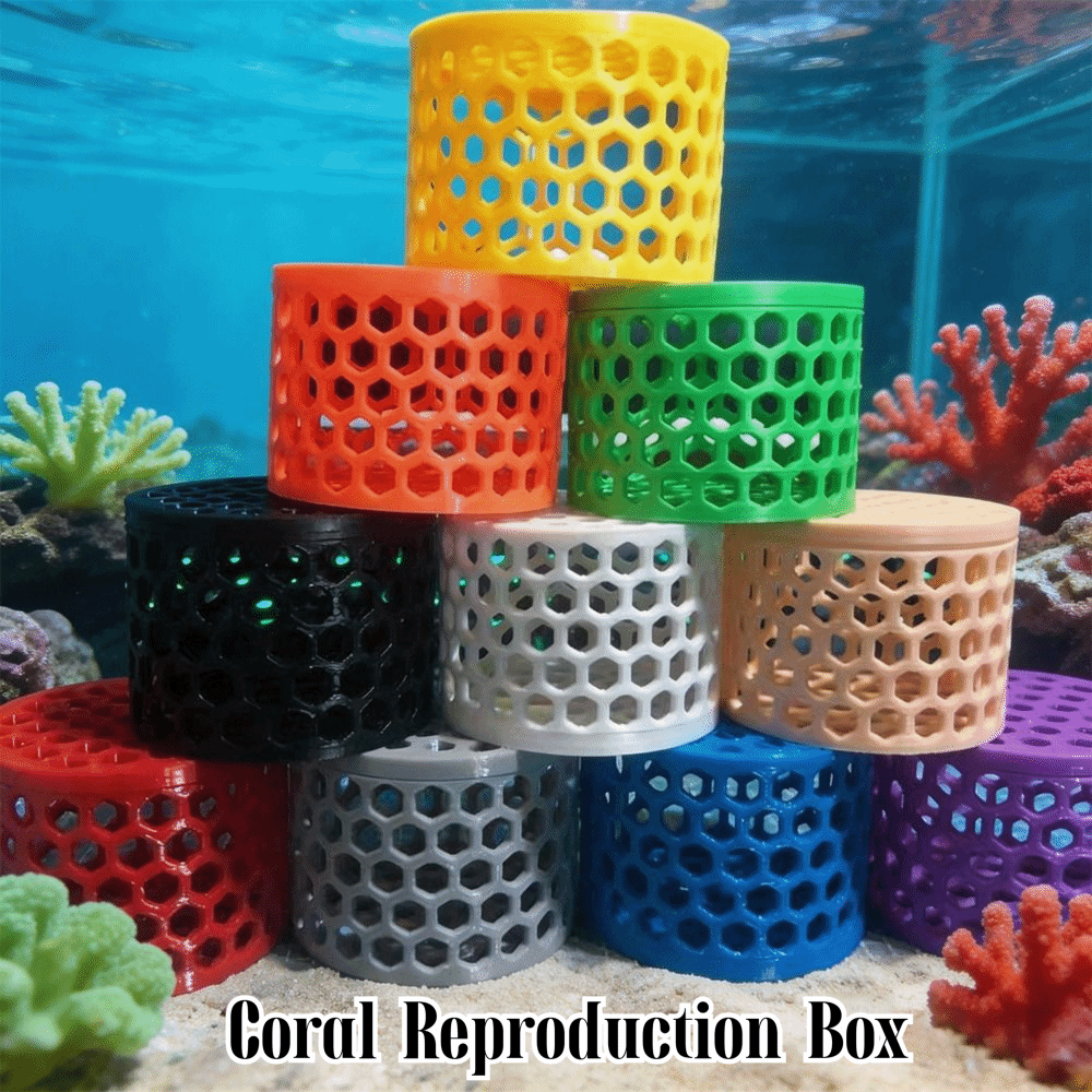 3D Printing Coral Reproduction - Aquarium Fish Reproduction ulasan dan harga
