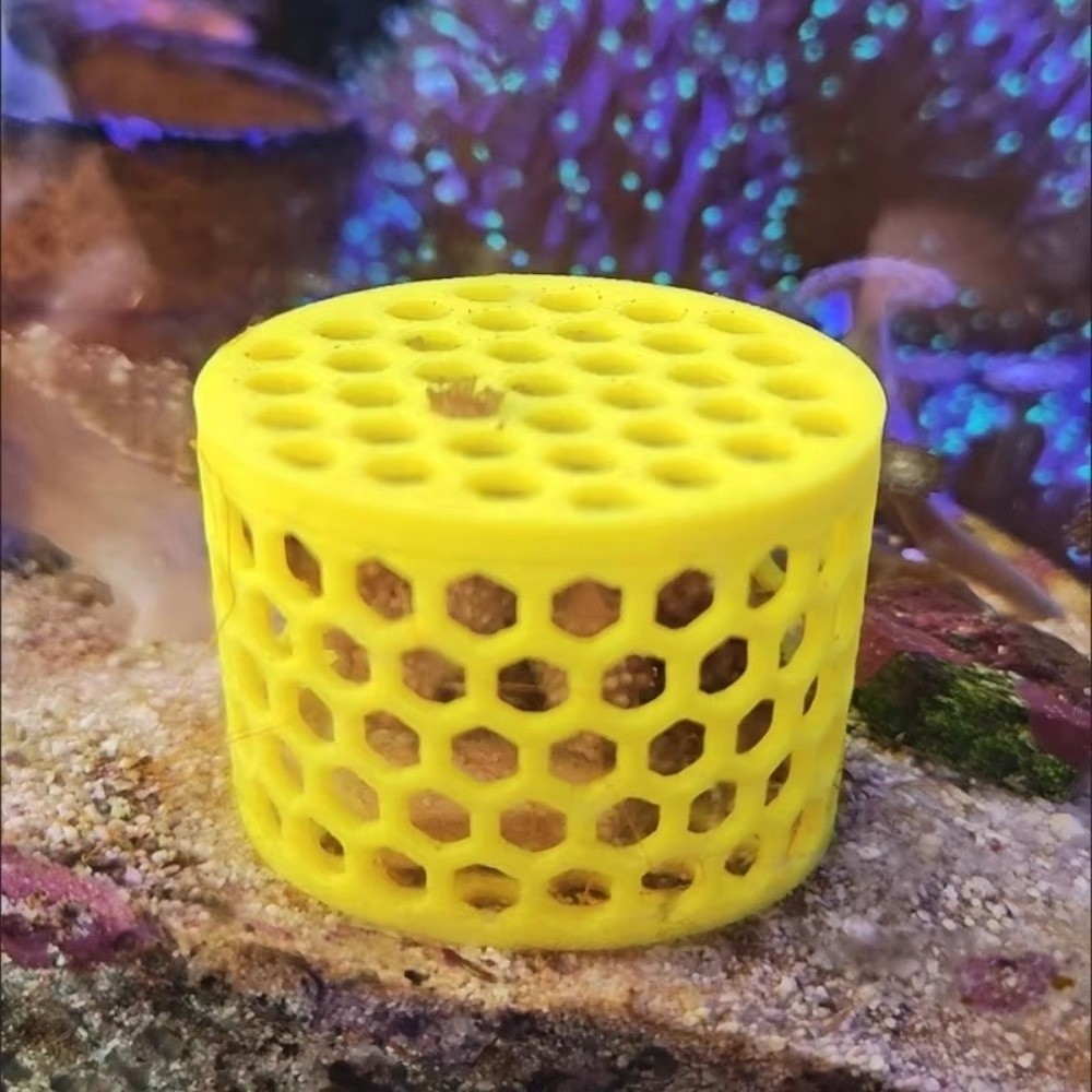 3D Printing Coral Reproduction - Aquarium Fish Reproduction ulasan dan harga