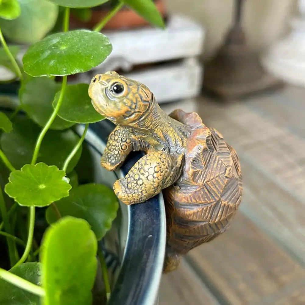 Fishing Turtle Hanging Turtle  - Aquarium Fishing ulasan dan harga