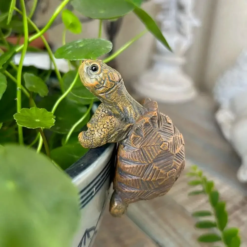 Fishing Turtle Hanging Turtle  - Aquarium Fishing ulasan dan harga