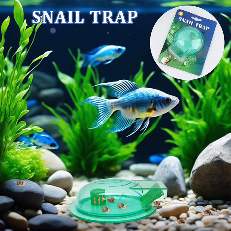 Aquarium Snail Trap, Plastic S - Aquarium Fish Eggs ulasan dan harga